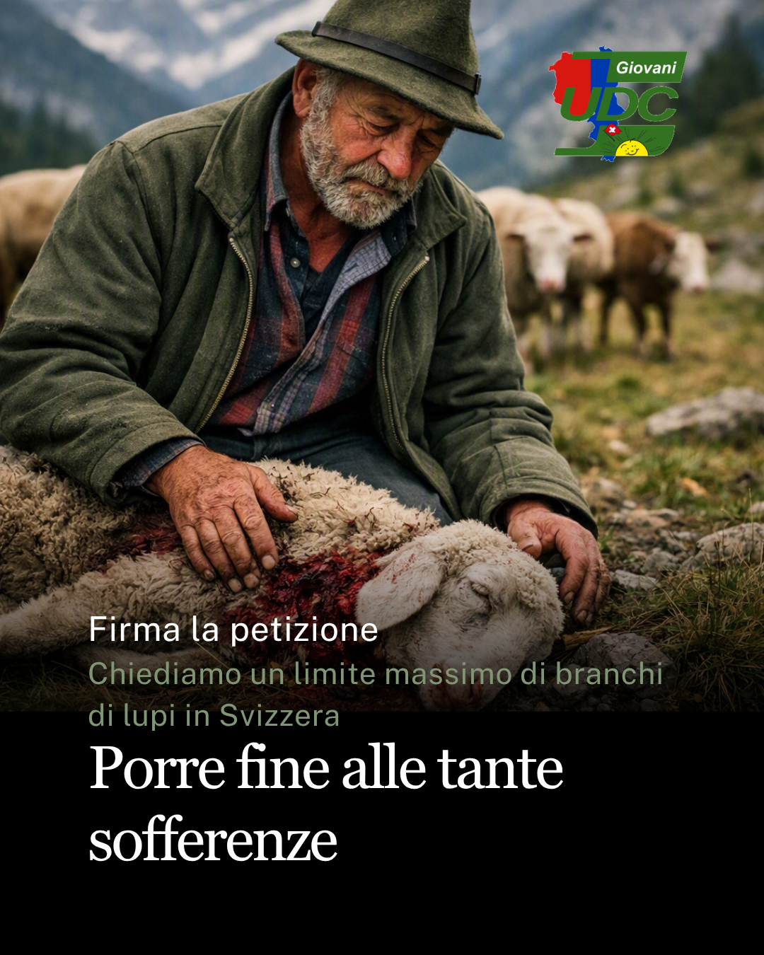 Salvare gli alpeggi: soglie massime per la popolazione del lupo in Svizzera (Petizione)
